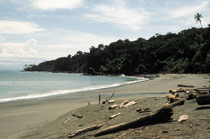 Imagen de Isla Gorgona