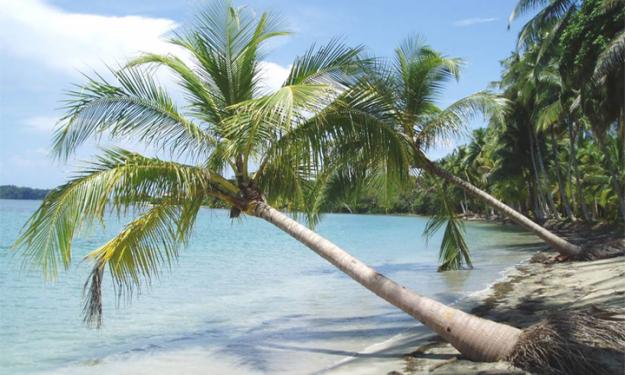 Imagen de Isla de Barú