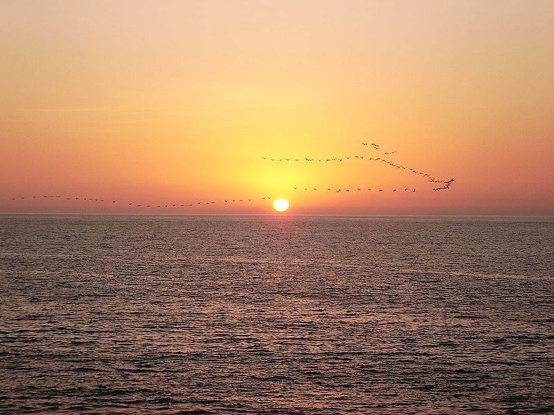 Imagen de Playa La Virgen