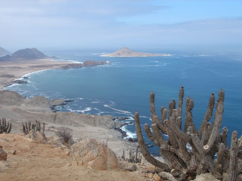 Imagen de Playa Caleta Pan de Azúcar