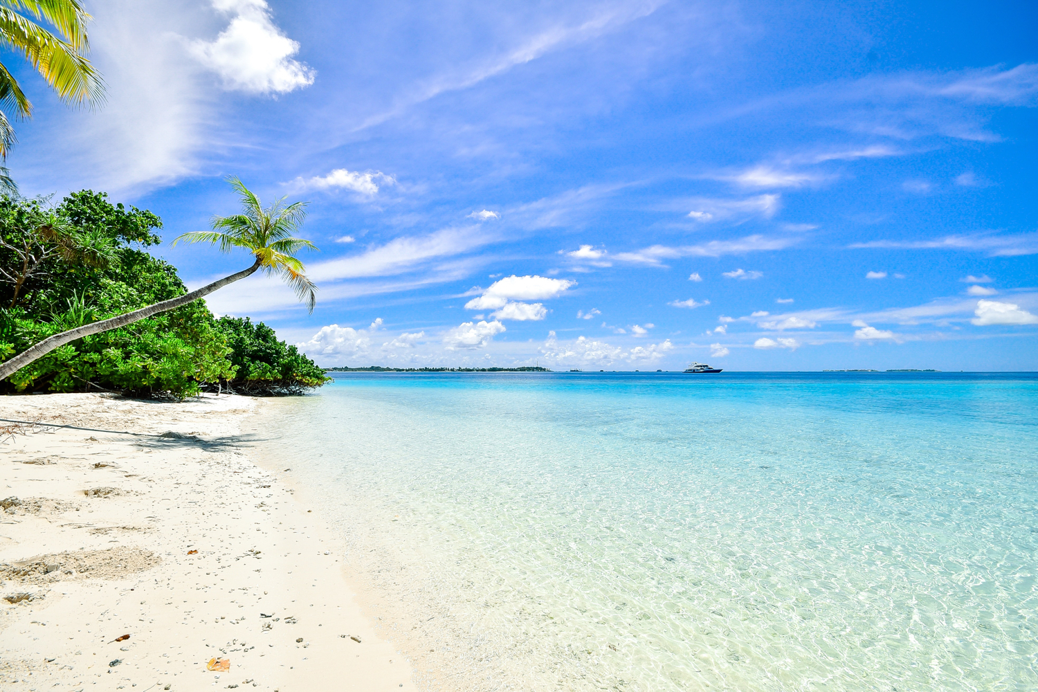 Nota sobre Playas imperdibles para vacacionar en Cancún