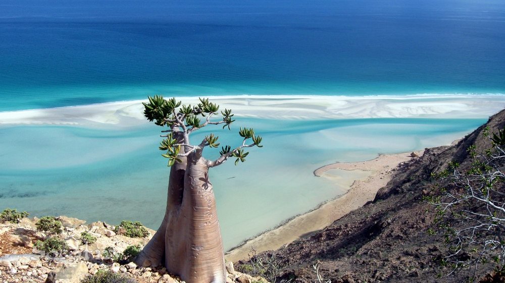 Imagen de Isla de Socotra