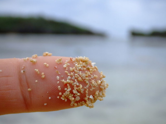 Imagen de Isla Iriomote