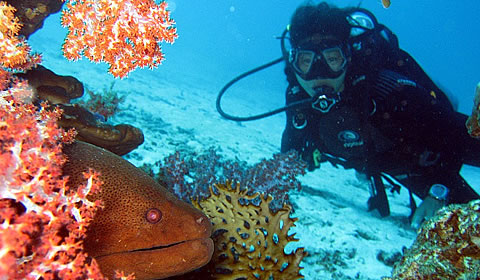 Nota sobre La prefectura de Okinawa tendrá un nuevo parque natural