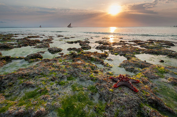 Nota sobre Tailandia y Catar, anfitriones del Día Mundial del Turismo de 2016 y 2017