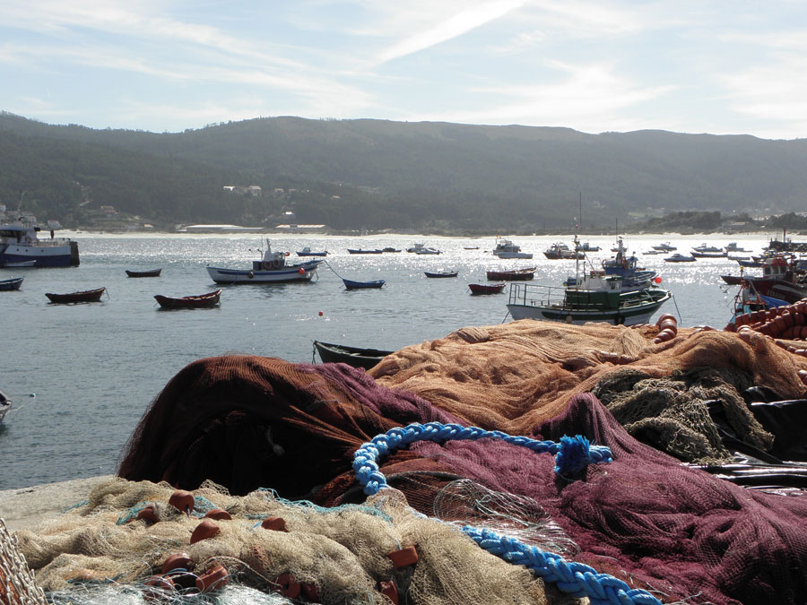 Imagen de Costa Dorada