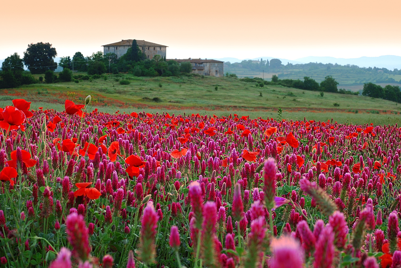 Nota sobre Octubre: Los colores de la Toscana