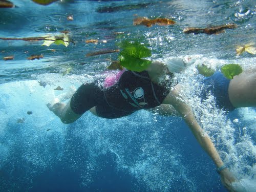 Nota sobre Waterpolo