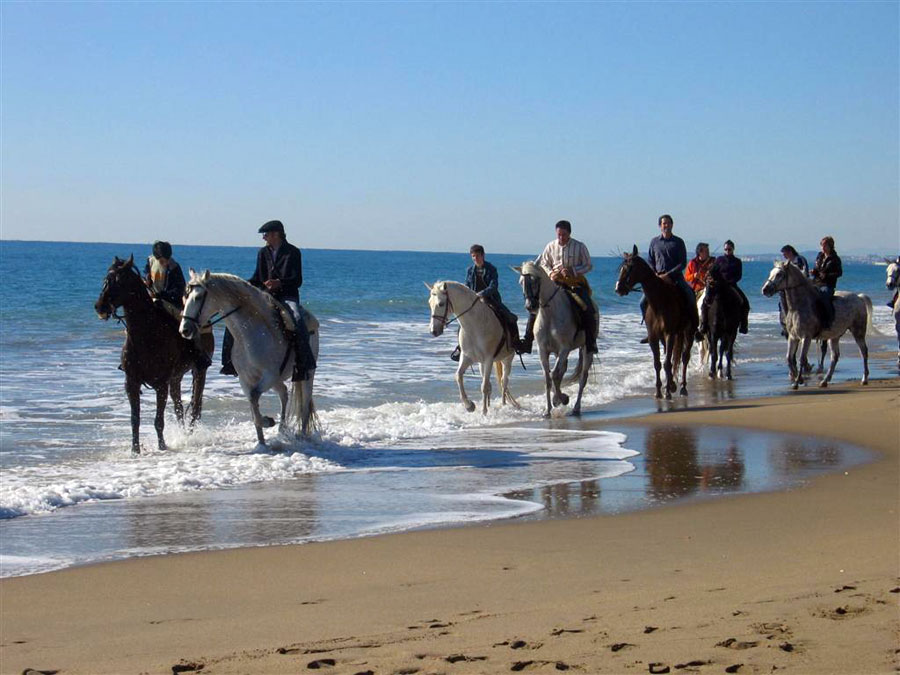 Nota sobre Oceanográfico de Valencia, un recorrido por los mares y océanos de nuestro planeta