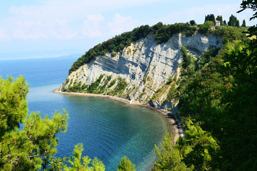 Imagen de Salinas de Sečovlje