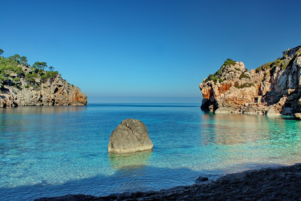 Imagen de Papagayo