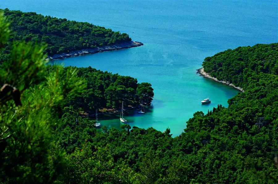 Imagen de Isla de Lošinj