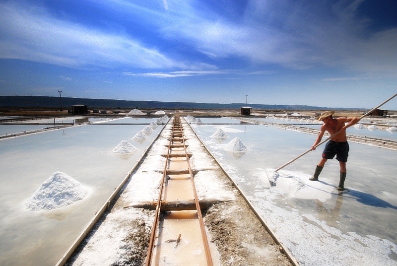 Imagen de Salinas de Sečovlje