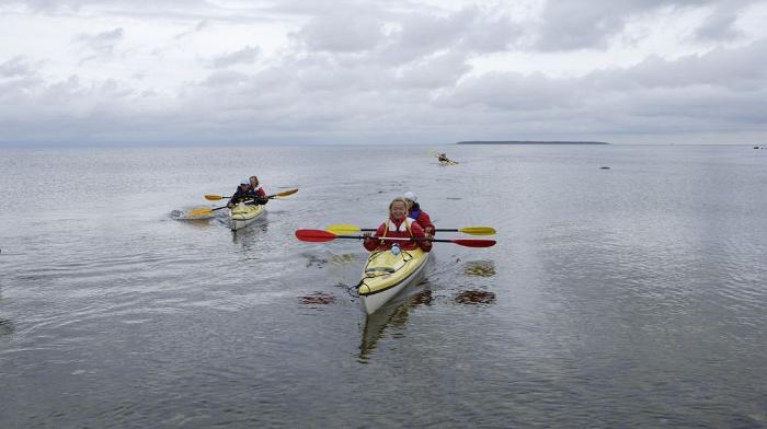 Imagen de Isla de Saaremaa