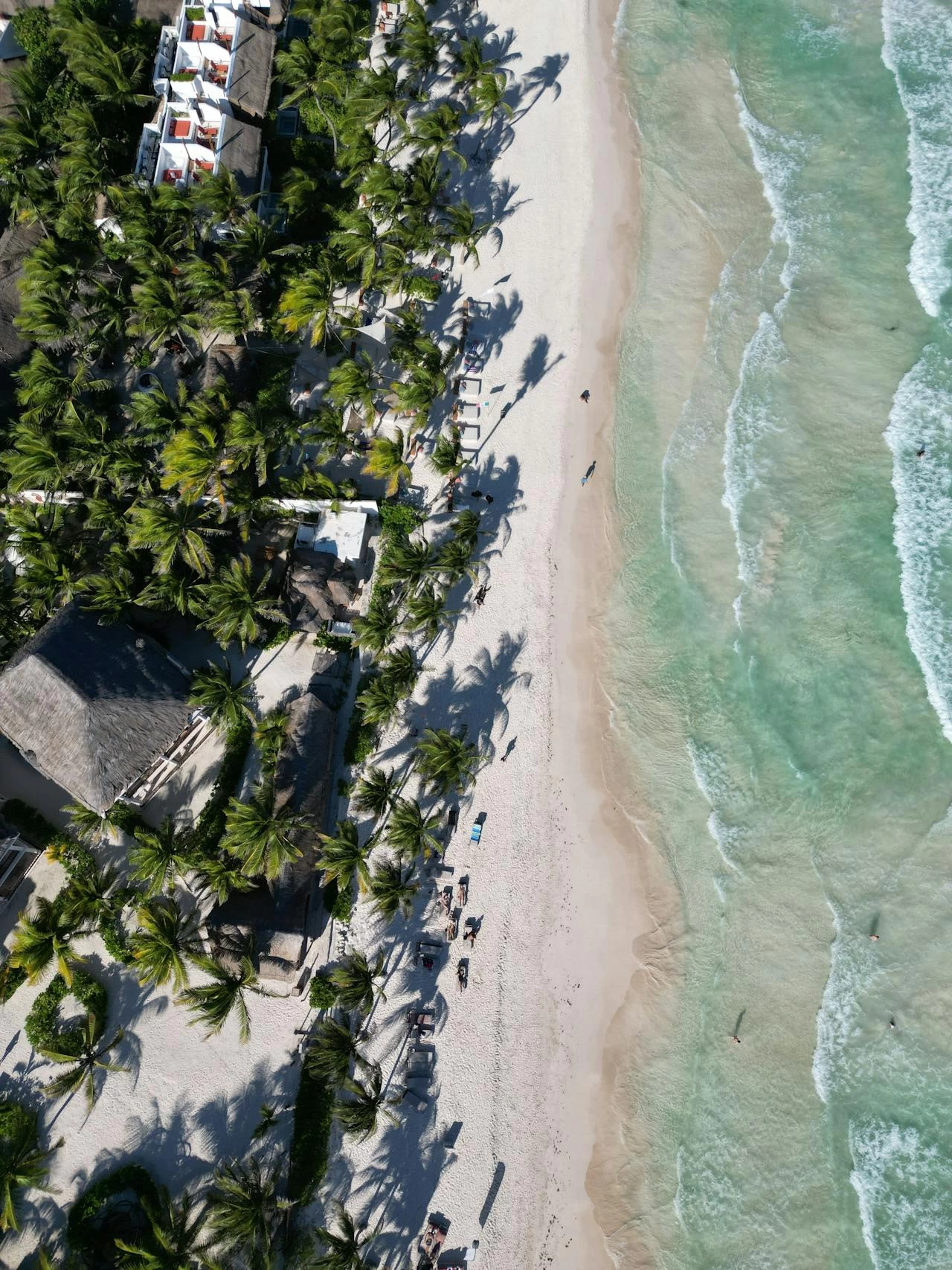 Nota sobre Las mejores actividades para disfrutar en la playa