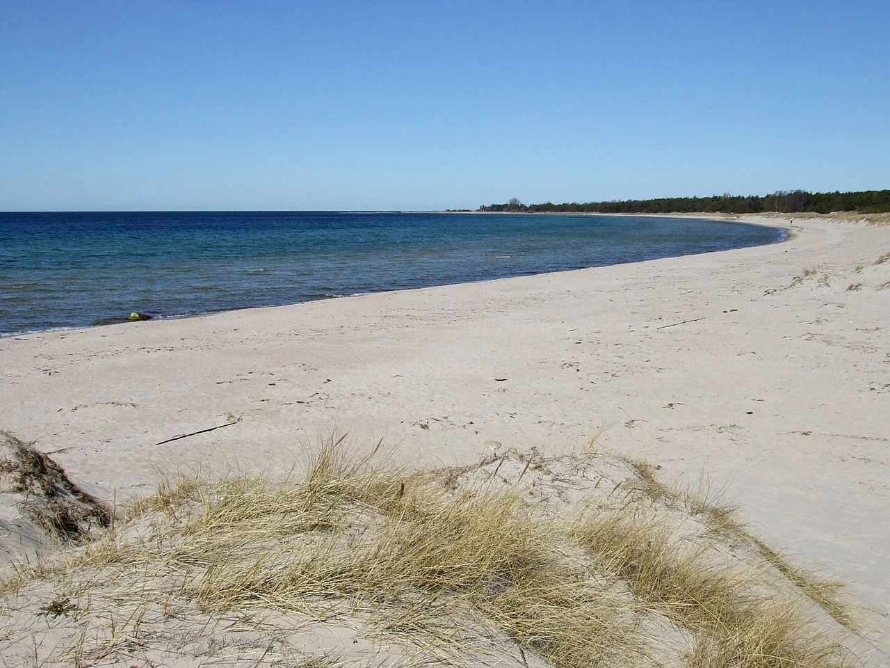 Imagen de Tofta Strand (Gotland)