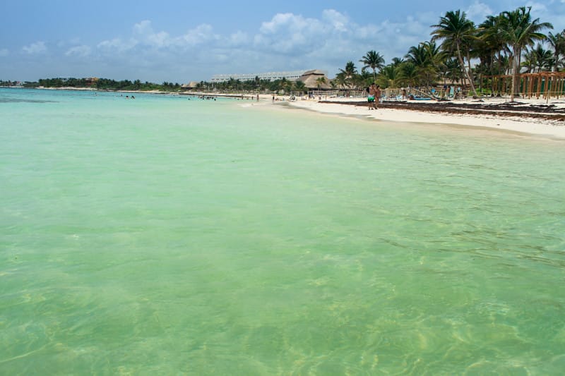Akumal, la playa donde es posible ver tortugas marinas en la Riviera Maya