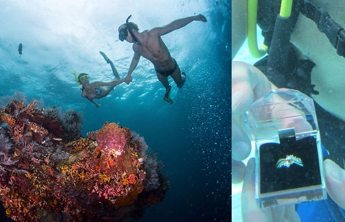 6 impactantes lugares en México para dar el anillo