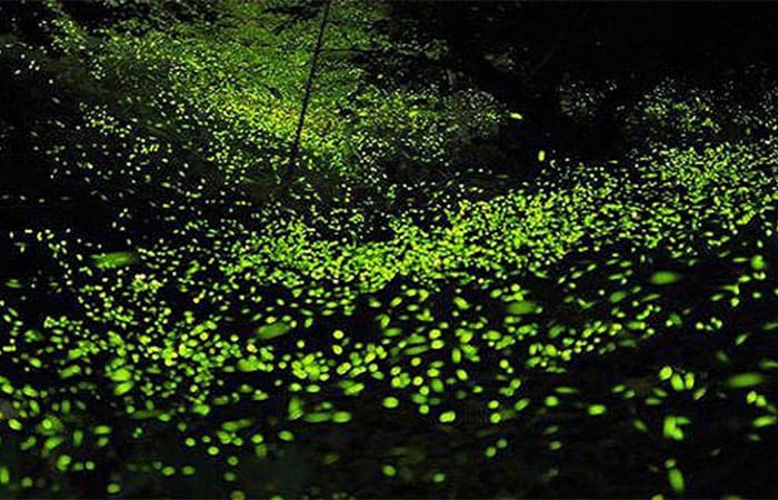 6 impactantes lugares en México para dar el anillo