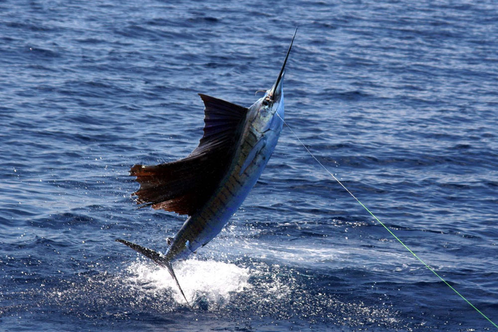 Los mejores eventos de Huatulco en Oaxaca 1 Los mejores eventos de Huatulco en Oaxaca