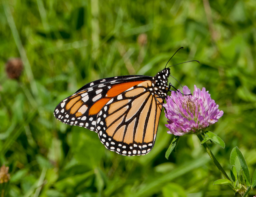 Maravíllate con hermosos lugares de nuestro México 1 Maravíllate con hermosos lugares de nuestro México