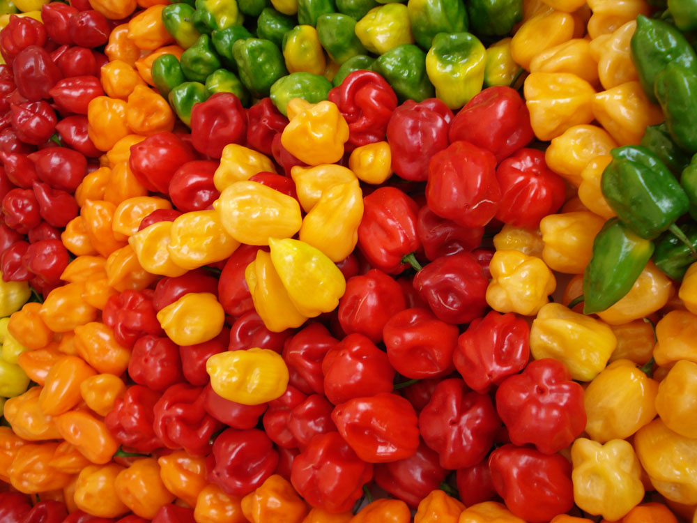 Los chiles más picosos de México y el resto del mundo 1 Los chiles más picosos de México y el resto del mundo