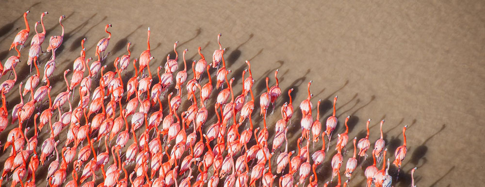 Reservas Ecológicas de Yucatán 1 Reservas Ecológicas de Yucatán