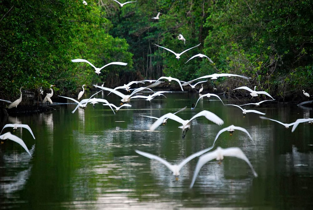 Campamento Ecoturístico Yaxché en Quintana Roo