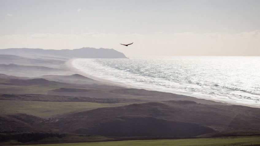 Motín de Oro 1 Motín de Oro