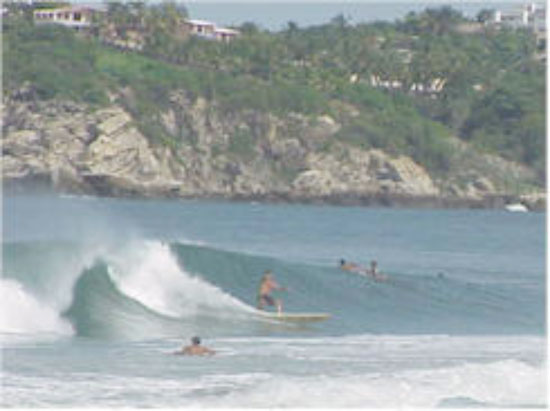 Noviembre ... de fiesta en Puerto Escondido