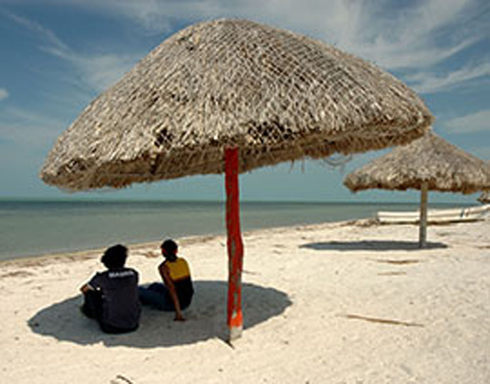 Recorrido Campeche Ecológico 1 Recorrido Campeche Ecológico