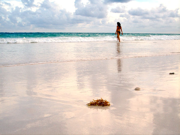 Riviera Maya los buenos hábitos