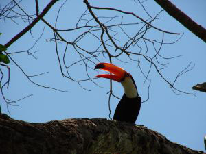 Lugares para la observación de Aves