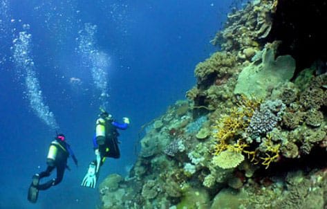 Bucear en el Caribe Mexicano