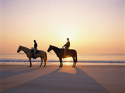 Safari a Caballo por las Playas de Los Cabos