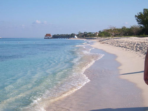 Lo mejor de la Costa Alegre en Jalisco 1 Lo mejor de la Costa Alegre en Jalisco