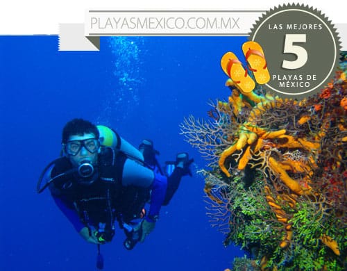 5 playas de México para los deportes náuticos 1 5 playas de México para los deportes náuticos