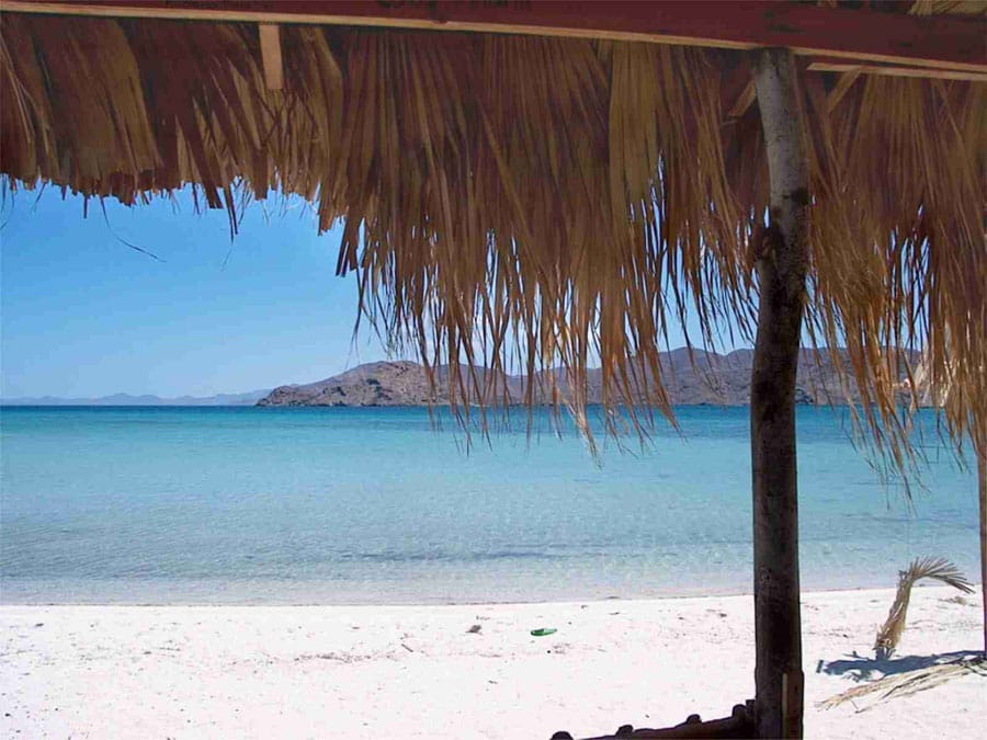 20 Torneo internacional de pesca deportiva del pez vela