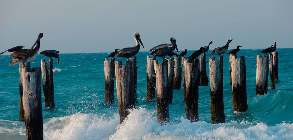 La Costa Esmeralda para el fin de semana 1 La Costa Esmeralda para el fin de semana