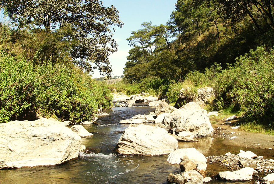 Reserva de la Biosfera Sierra de Manantlán, Jalisco