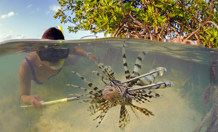 Los mejores eventos de Mahahual