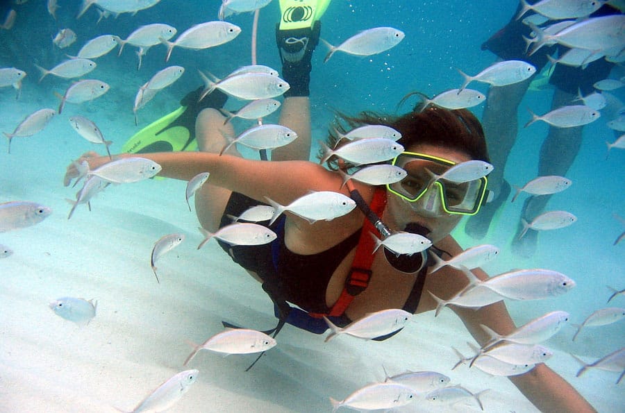 Actividades y deportes en Cancún