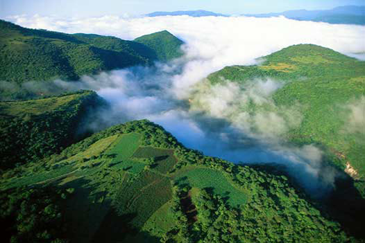 Corredor Biológico Chichinautzin, Morelos 6 Corredor Biológico Chichinautzin, Morelos