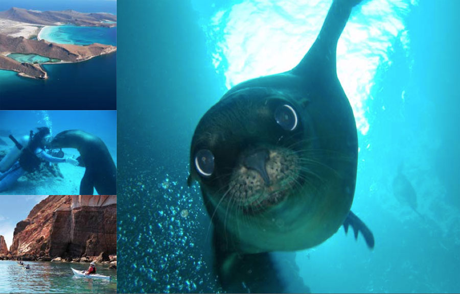 Isla Espíritu Santo, Baja California Sur 1 Isla Espíritu Santo
