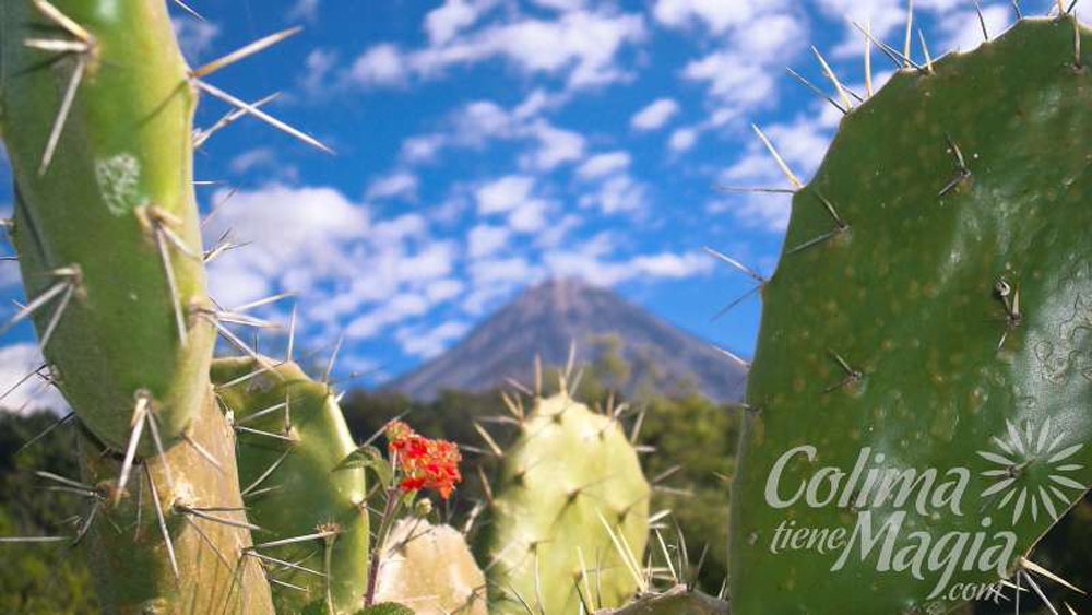 Turismo rural en Colima 1 Turismo rural en Colima