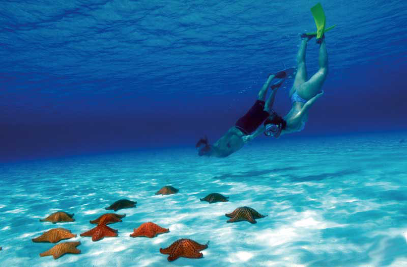 Panono, la cámara de 72 megapíxeles que querrás lanzar por los aires