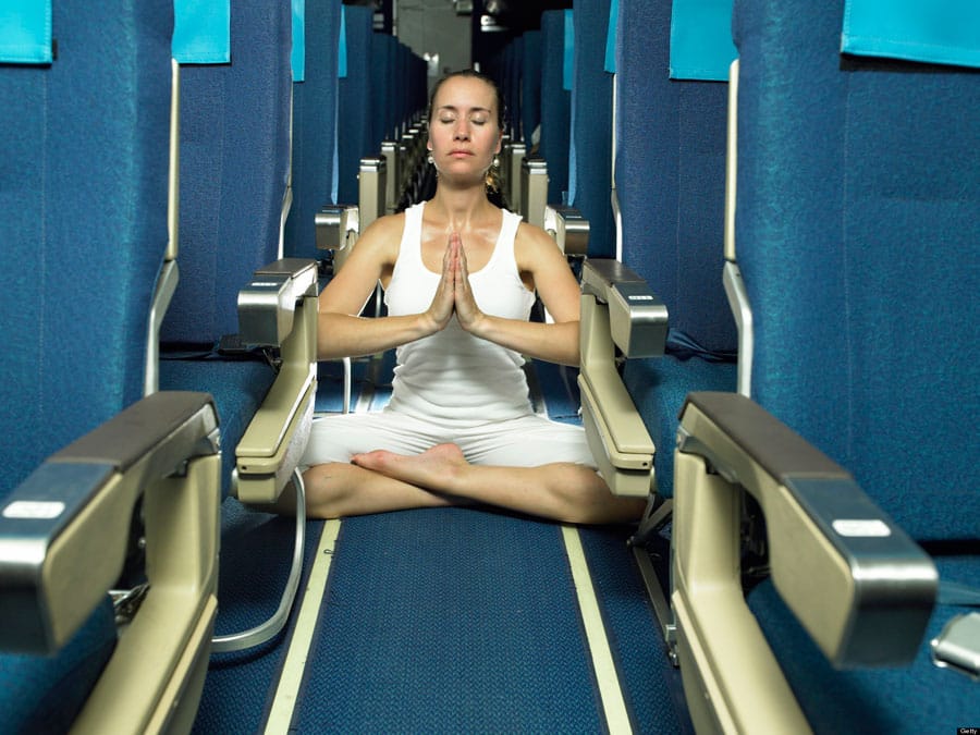 15 especies diferentes que encontrarás en un avión 1 15 especies diferentes que encontrarás en un avión