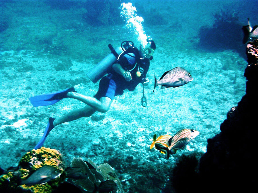 The Topless Tour: La tendencia de las redes sociales al viajar