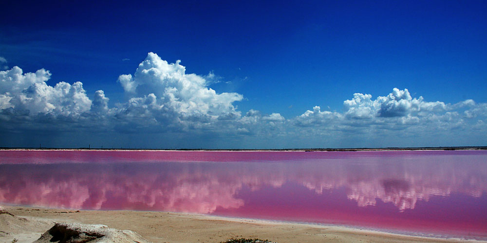 Ría Lagartos y las Coloradas, naturaleza en Yucatán 4 Ría Lagartos y las Coloradas, naturaleza en Yucatán