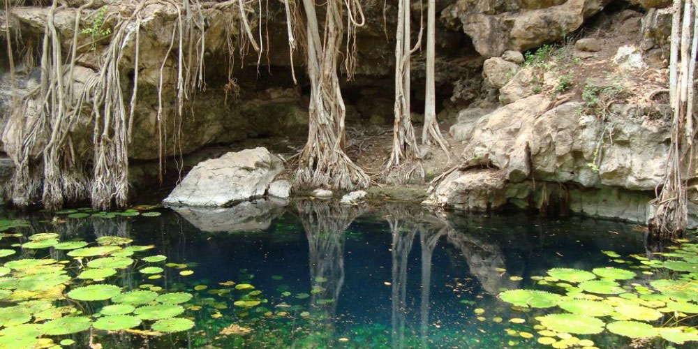 El ejido "El Soliseño", Tamaulipas